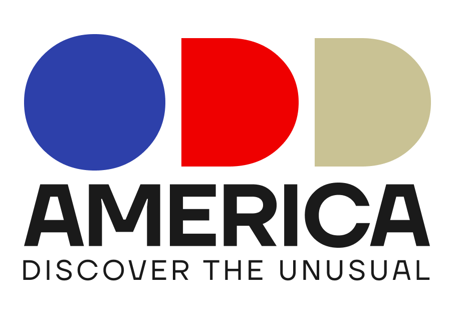 odd-america